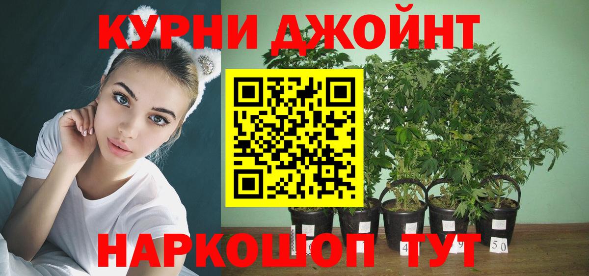 Конопля Ganja Кохма